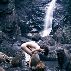 4856346483299859622740228156707386111089389456230392766181717386049034911747