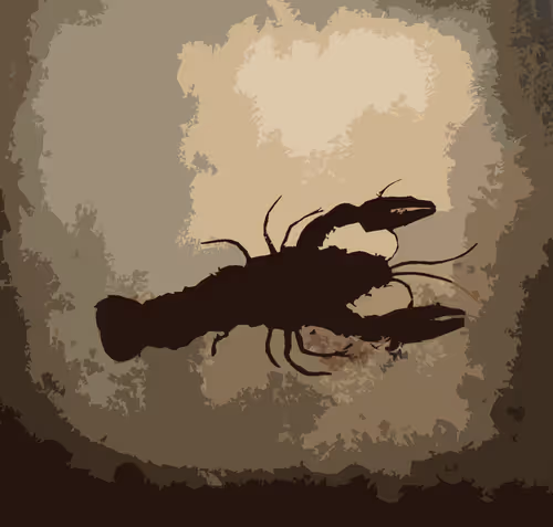 Item #31545483313136688642657984552650820670295641519181076477123279147315675267073 Media