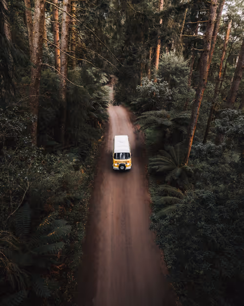 Item #86385672013831146465548650078662187187055141490040132723525304200654602895361 Media