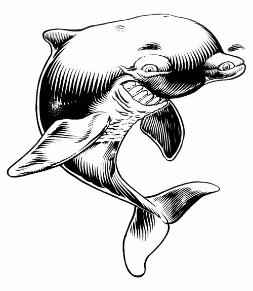 Item #46308592936825769109644823769625478364768345526245600070066391416858474446853 Media