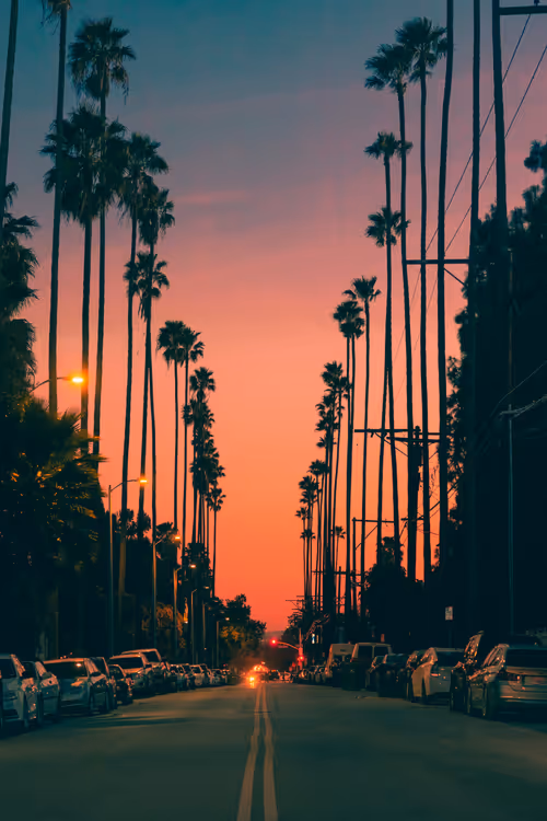 Item #35557780727049604459658880725917592814256363748111026780455796869554289770497 Media