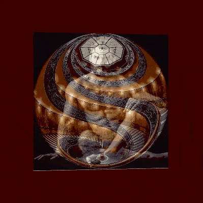 Item #56485572865643406190523004317693602155169995562420708378703551219470964883457 Media