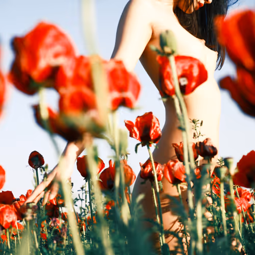 4856346483299859622740228156707386111089389456230392766181717393745616306179