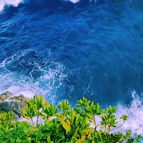 Item #19755943560703832549694930259889174281342606690861395808005517935444316127233 Media