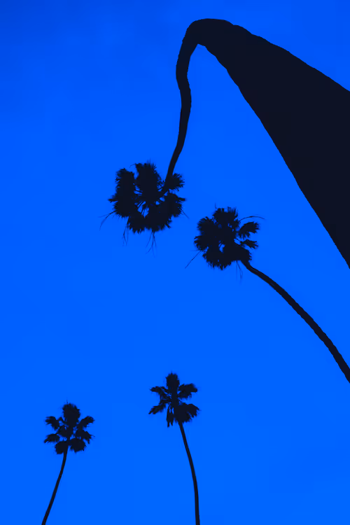 Item #35557780727049604459658880725917592814256363748111026780455796871753313026049 Media