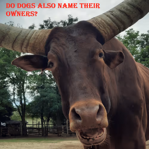 51313302132644519913343847646347811445510524411913136629935896343087287369729