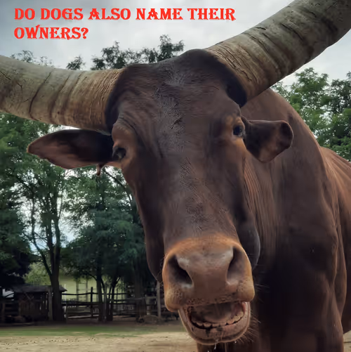 Item #51313302132644519913343847646347811445510524411913136629935896343087287369729 Media