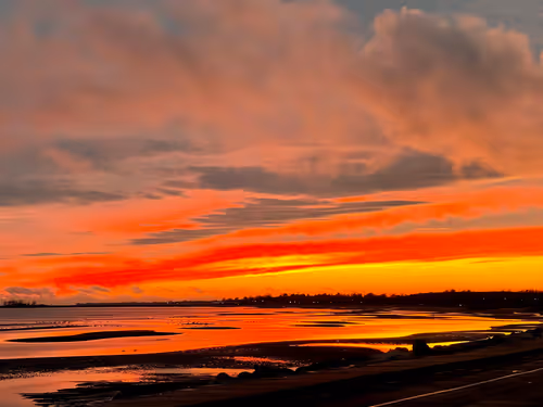 Item #44100607616184526410662414915687006809759328880516455582196249741434493599745 Media