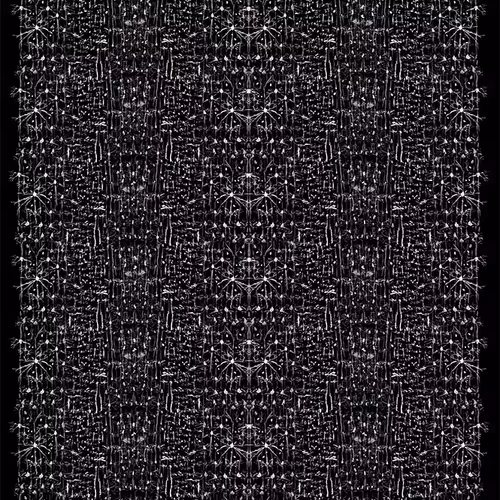 87855534987201374925371944818297600221317149567981150322417554444007768064001