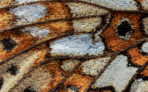 Item #11893448461842202167923125391346137616384292588036434545660885503470215364688 Media