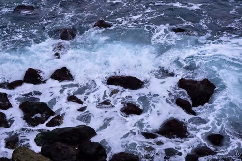 Item #105475816949175725597838668609224528502922702307421382918206128501214404411393 Media