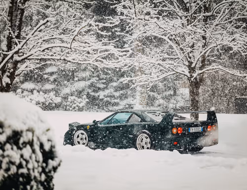 Item #31306949431079082875472894456006319516026694367471683219785722329923963584513 Media