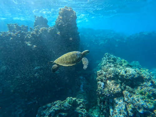 Item #61766932903347958731953246728131449434683822553701043197731977557350520193025 Media