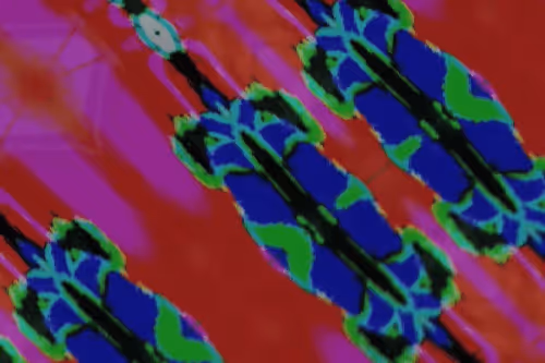 Item #34286699768185565968495272037167852201968450412898710793294814036051424706561 Media