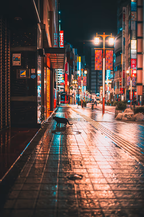 Item #26046832965360609860866363822675472440901155191145999038932145081251264462849 Media