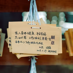 Meiji Jingu Sights #7