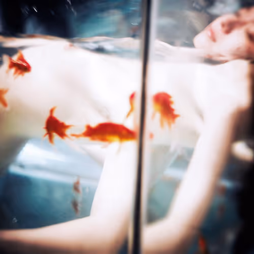 4856346483299859622740228156707386111089389456230392766181717410238290722819