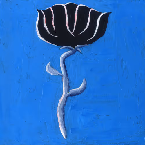 Item #80376447980712332360511336774523780605725753808069375335480488222893094731777 Media