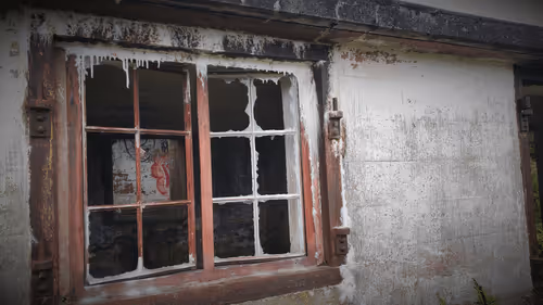 Item #13473500973687785898796463285955460631407349614781281766798596475021040812033 Media