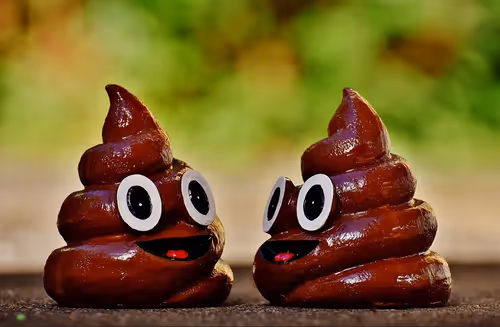 Item #87168689642386041159639833587462629267916266200200208185872491637011715719169 Media