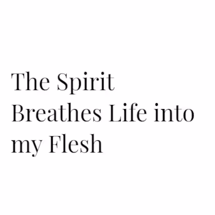 Item #73944425680841378423707497973743319694809260800565833909088422997800079327233 Media