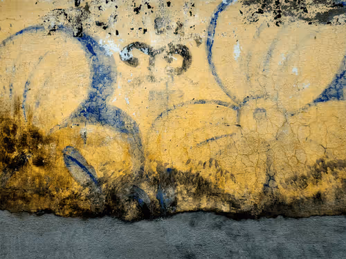 Item #77837778009088564188174628045169397065653229955612462896383264973624101044225 Media