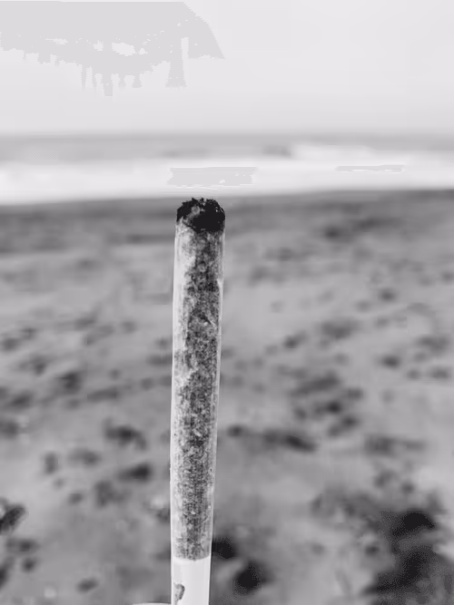 Item #92878865255826321536132190645537413346601958767864056232654340019970757361665 Media