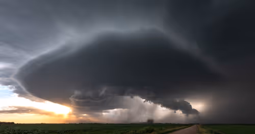 Item #36388733735061083786475834014155955711748965200924391160511104848326970834945 Media