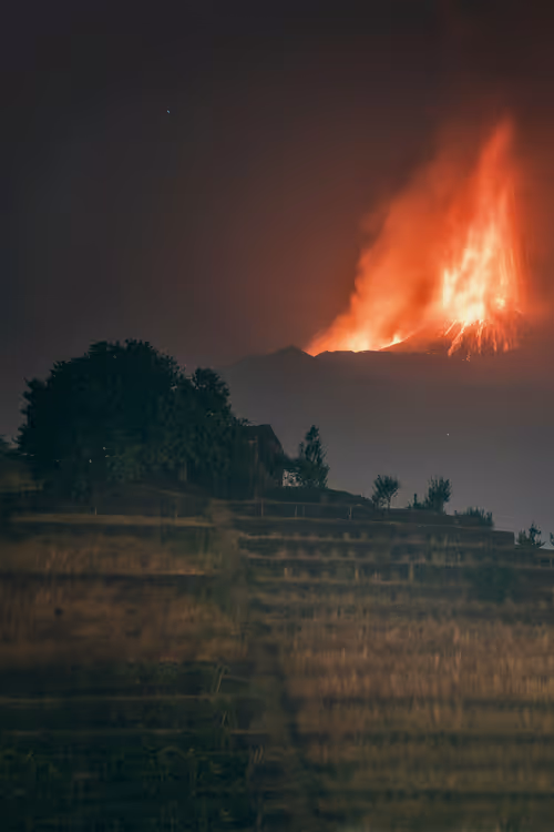 Item #29665505459776512063151611391641042533234332755845632920050768268559673982977 Media