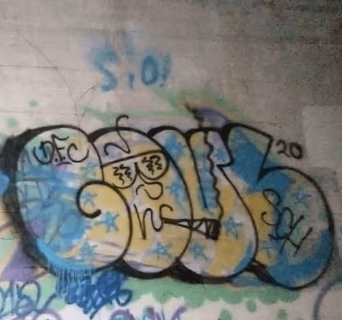 Item #27072230720963420352910716930162937553660677203430111857303730611927579099137 Media