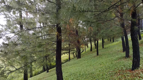 Item #103842889380389490974237418585488476385248358379383266595214697777689226379265 Media