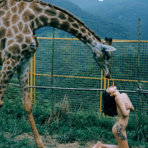 4856346483299859622740228156707386111089389456230392766181717349765151195138