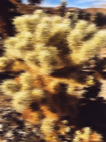 Item #7163017682800819022500116632954372564171361246090735806536608433795797876737 Media