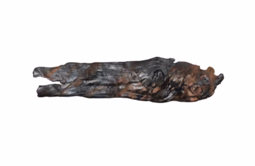 Item #22900232604420011537493696971111842688534829566160071035010649907346804834305 Media