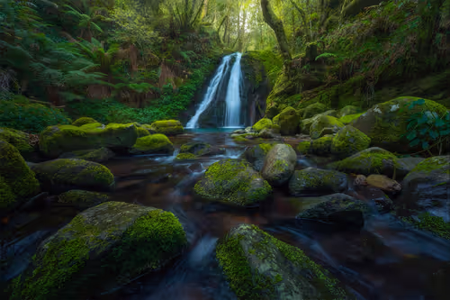 Item #112241139933589088795661151874445265147488650533013612432304602884738104950785 Media