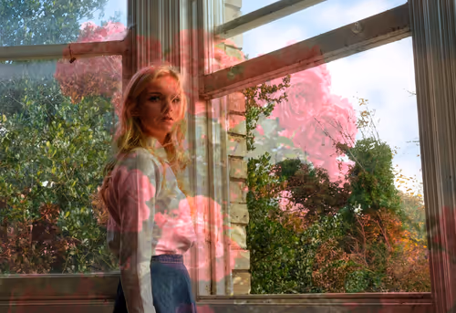 Item #41964284800146148335812762864388853524590786136396505697513230354570683613185 Media