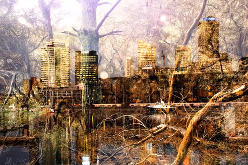 Item #59100591460969090848093152469102707440885830414673782650703488487387549401089 Media