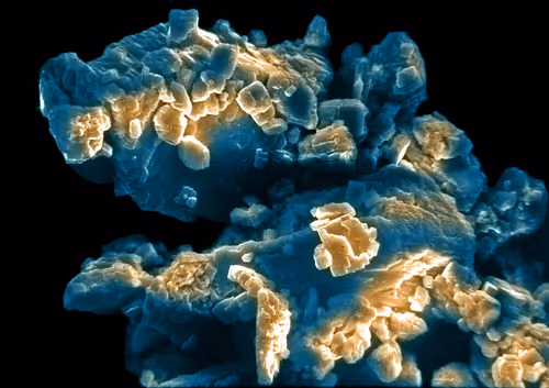 Item #115505927728344181025262329658899620468765138243295584093365708458373427494913 Media