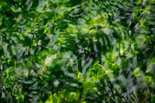 Item #81441334517361708208394031135700195474624799851237506988747108004080620929025 Media