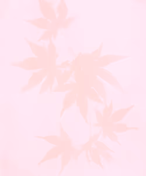 Item #66412083877775050052255921183624814536266007620308041883263231593850335133697 Media