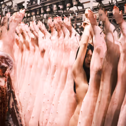 4856346483299859622740228156707386111089389456230392766181717358561244217346