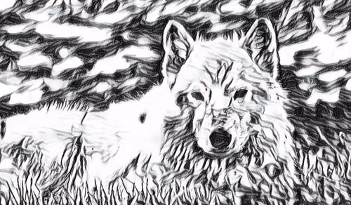 Item #22623297383426892917101335270761698949847758593200202890070986078550990258177 Media