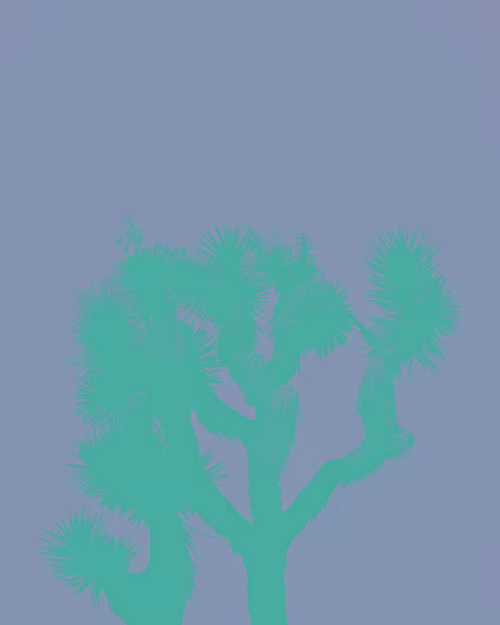 Item #30505376151714534788901893272426756078868651055776643414965977853207076929538 Media