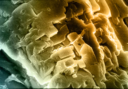 Item #115505927728344181025262329658899620468765138243295584093365708471567567028225 Media