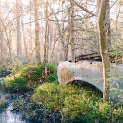 48137969834760964202008615445069010109172114455099533143483873210325572517889