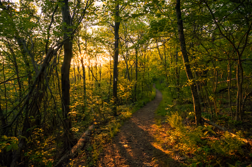 Item #27268559498061748325784621046965527840934976554079147599746578506740559511553 Media