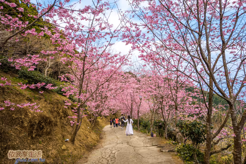 Item #100744422725674417057824683306763013505668843176654858816283483975812978311169 Media