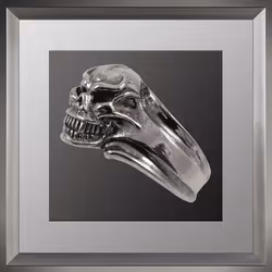 44746194182793400912343588997340986758940336322370103626433839481662849679361