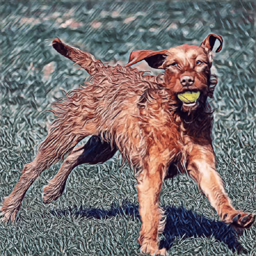 Item #51313302132644519913343847646347811445510524411913136629935893373306380746753 Media