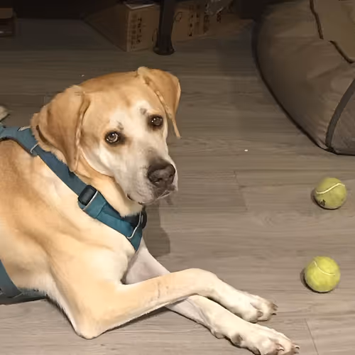 Item #42135646938711886447165191195054138109961576500505026996006699393947304722433 Media